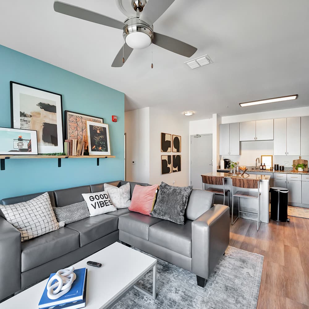 Rowe Apartments Near FSU: Studio to 4-Bedroom Units